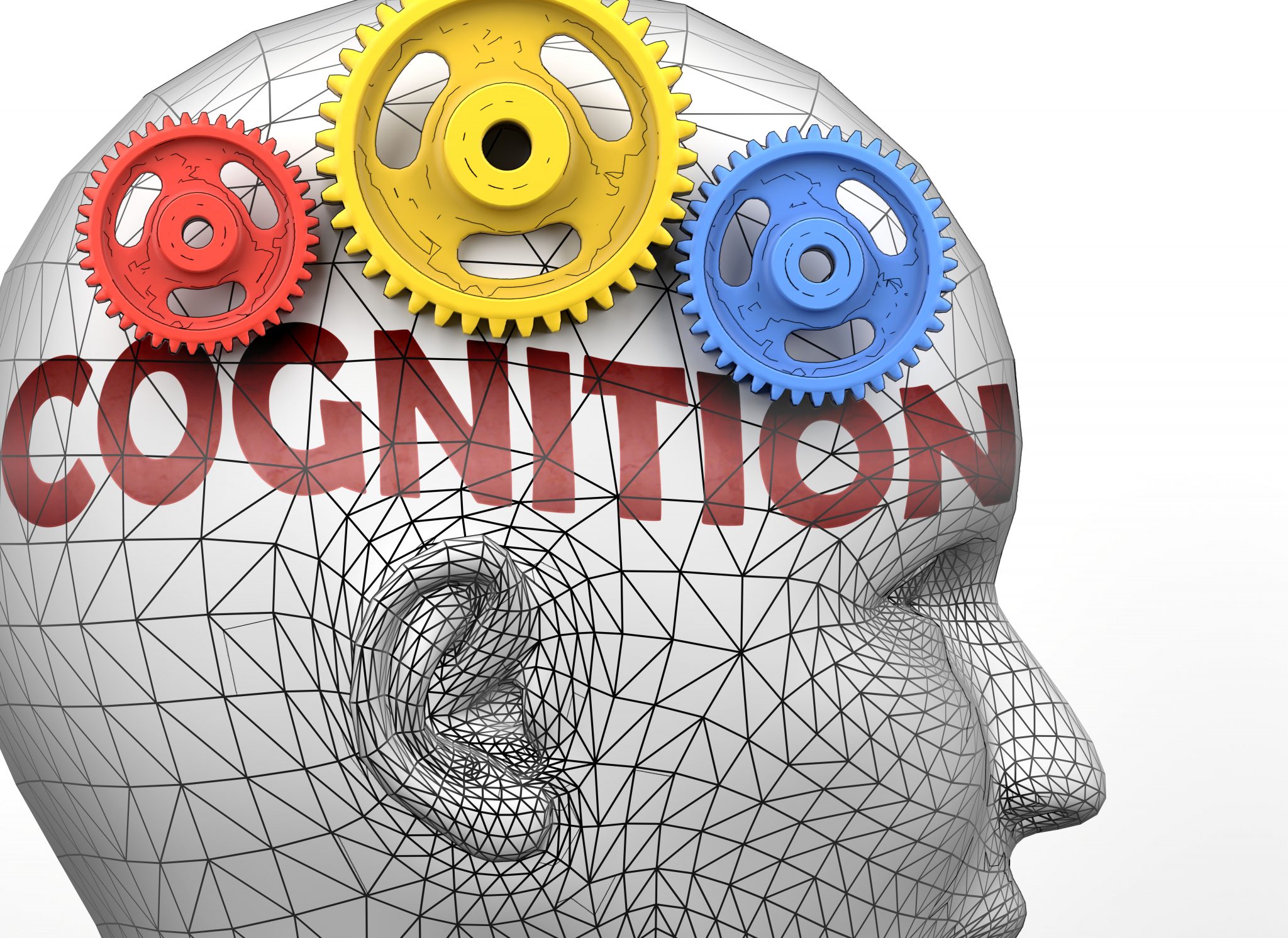 cognitivism-westcountry-sen